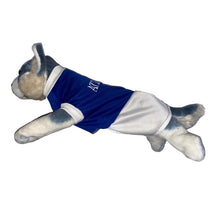 Load image into Gallery viewer, Ateneo Dress Blue Random Number