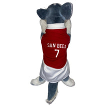 Load image into Gallery viewer, San Beda Dress Red