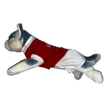 Load image into Gallery viewer, San Beda Dress Red