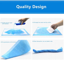 Load image into Gallery viewer, Pet Training Pee Pad Per Piece