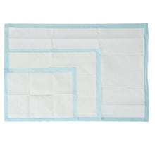 Load image into Gallery viewer, Pet Training Pee Pad Per Piece