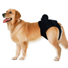 Load image into Gallery viewer, Pet Washable Diaper - Female