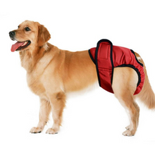 Load image into Gallery viewer, Pet Washable Diaper - Female