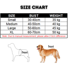 Load image into Gallery viewer, Pet Washable Diaper - Female