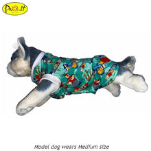 Load image into Gallery viewer, Printed Dress Green