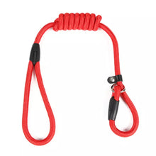 Load image into Gallery viewer, Pet Nylon Training Leash