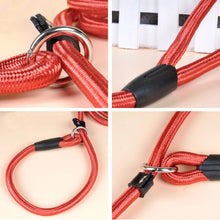 Load image into Gallery viewer, Pet Nylon Training Leash