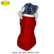 Load image into Gallery viewer, Christmas Santa Dress