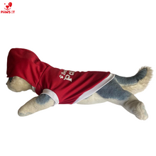 Load image into Gallery viewer, Santa Paws Red Hoodie