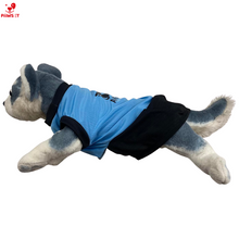 Load image into Gallery viewer, Angkas Pet Skirt Dress