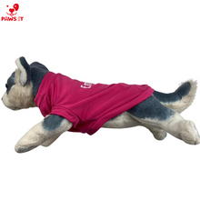 Load image into Gallery viewer, Pet Emirates Shirts