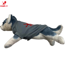 Load image into Gallery viewer, Game of Thrones Lannister Pet Shirts