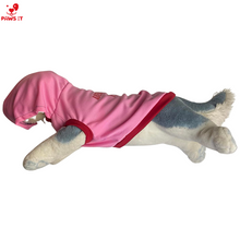 Load image into Gallery viewer, Aberdoggie and Fetch Pink Hoodie
