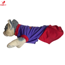 Load image into Gallery viewer, Aberdoggie and Fetch Violet Dress