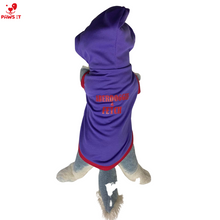 Load image into Gallery viewer, Aberdoggie and Fetch Violet Hoodie