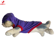 Load image into Gallery viewer, Aberdoggie and Fetch Violet Hoodie