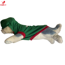 Load image into Gallery viewer, Aberdoggie and Fetch Green Hoodie