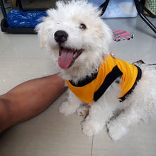 Load image into Gallery viewer, Pet Clothes Personalized