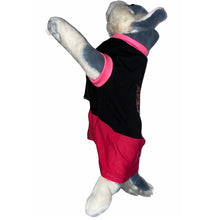 Load image into Gallery viewer, Pet Dress I give free kisses