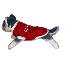 Load image into Gallery viewer, San Beda Jersey Red