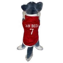 Load image into Gallery viewer, San Beda Jersey Red