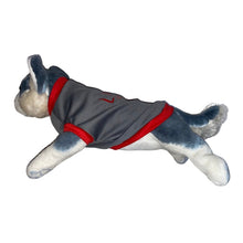 Load image into Gallery viewer, LPU Jersey Gray