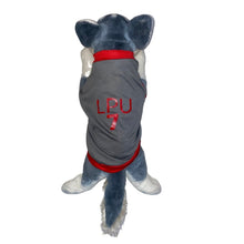 Load image into Gallery viewer, LPU Jersey Gray