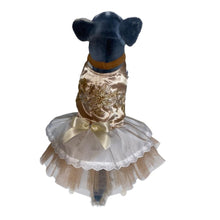 Load image into Gallery viewer, Embroidered Dog Dress