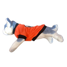 Load image into Gallery viewer, Dragonball Logo Orange