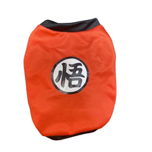 Load image into Gallery viewer, Dragonball Logo Orange