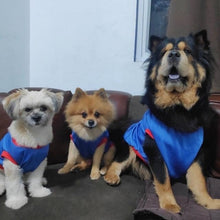 Load image into Gallery viewer, 24 PCS Bundle Paws it Pet Clothes Sando for Cats or Dogs Assorted