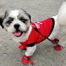 Load image into Gallery viewer, 100 PCS BUNDLE UNDERWEAR PAWS IT PET CLOTHES FOR CATS AND DOGS (ASSORTED)