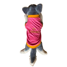 Load image into Gallery viewer, Pet Emirates Fuschia Pink