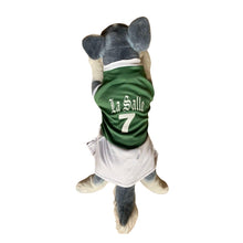 Load image into Gallery viewer, Lasalle Green Dress Random Number