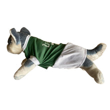 Load image into Gallery viewer, Lasalle Green Dress Random Number