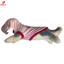 Load image into Gallery viewer, Santa Paws Pink Hoodie