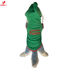Load image into Gallery viewer, Santa Paws Green Hoodie