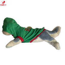 Load image into Gallery viewer, Santa Paws Green Hoodie