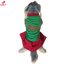 Load image into Gallery viewer, Santa Paws Green Dress