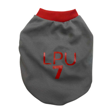 Load image into Gallery viewer, LPU Jersey Gray