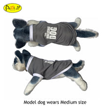 Load image into Gallery viewer, The Walking Dog / Violet & Gray