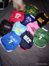 Load image into Gallery viewer, 100 PCS BUNDLE UNDERWEAR PAWS IT PET CLOTHES FOR CATS AND DOGS (ASSORTED)