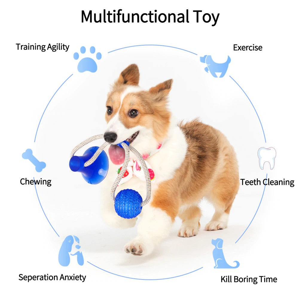 Shxx Dog Chew Toy With Multifunctional Suction Cup, Pet Molar Bite Toy,  Suction Cup Dog Toy Rubber Chew Toys Interactive Puppy Training Rope For  Teeth 