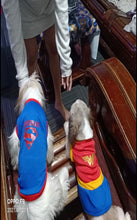 Load image into Gallery viewer, 100 PCS BUNDLE UNDERWEAR PAWS IT PET CLOTHES FOR CATS AND DOGS (ASSORTED)