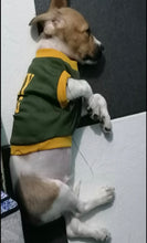 Load image into Gallery viewer, 100 PCS BUNDLE UNDERWEAR PAWS IT PET CLOTHES FOR CATS AND DOGS (ASSORTED)