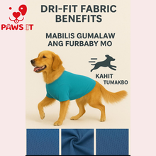 Load image into Gallery viewer, Pet Bandana Dog Plain Wholesale Bundle
