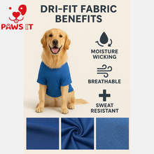 Load image into Gallery viewer, Pet Bandana Dog Plain Wholesale Bundle
