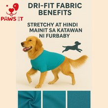 Load image into Gallery viewer, Pet Bandana Dog Plain Wholesale Bundle
