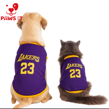 Load image into Gallery viewer, Lakers 23 Violet Yellow Jersey
