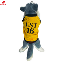 Load image into Gallery viewer, UST Jersey Shirt

